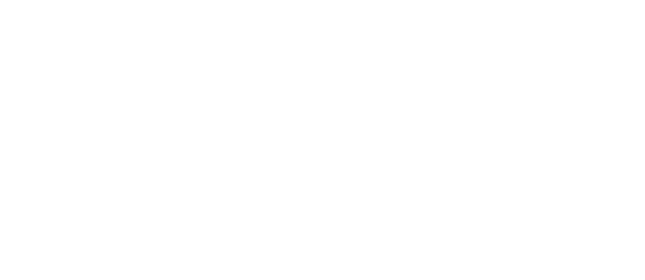 Stimline_logo_pos_padded_white